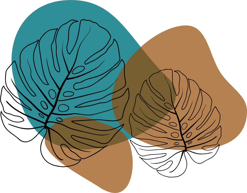 monstera