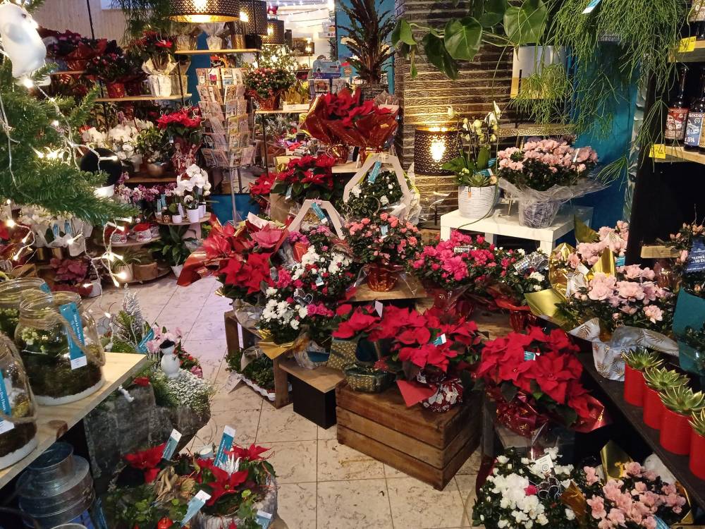 Dites le avec des fleurs (1)