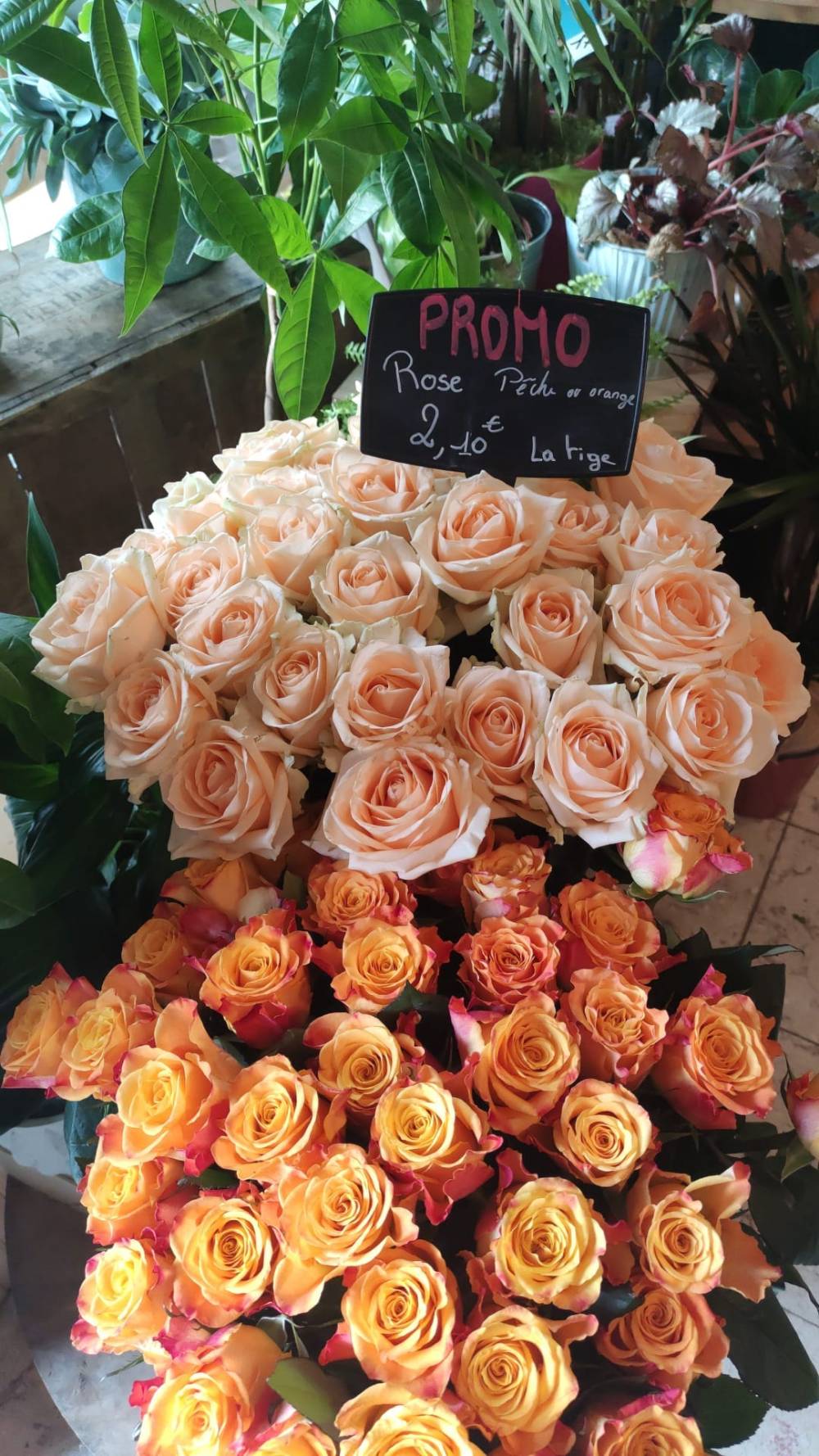 Dites le avec des fleurs (17)