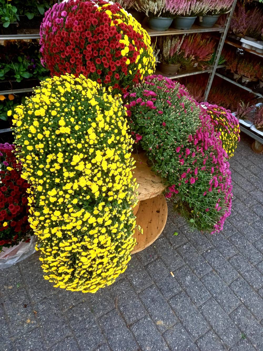 Dites le avec des fleurs (22)