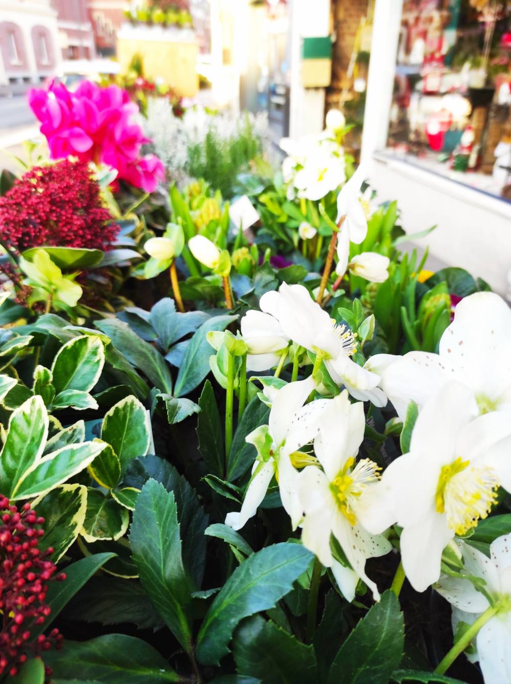 Dites le avec des fleurs (39)