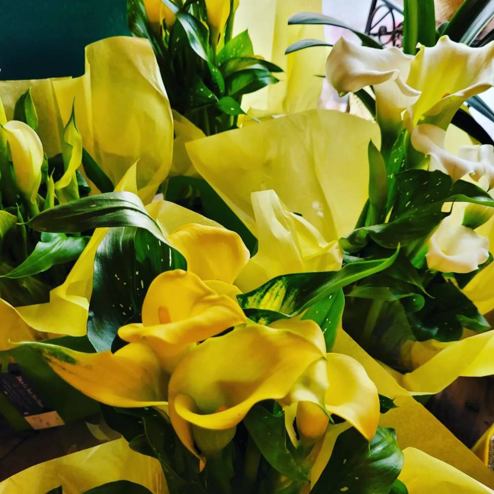 Dites le avec des fleurs (61)