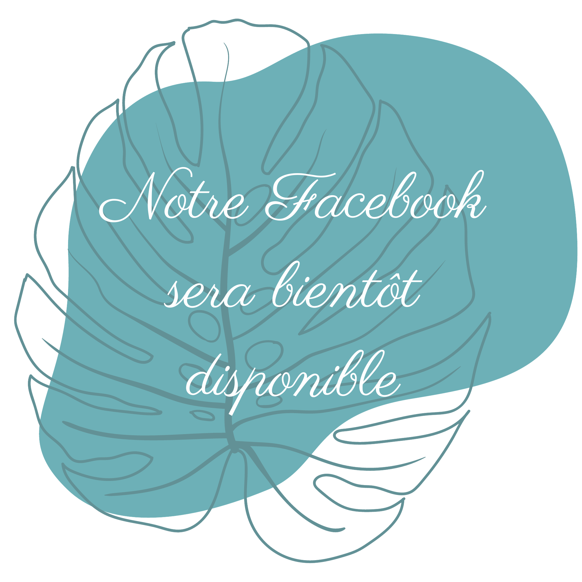 Dites le avec des fleurs Facebook